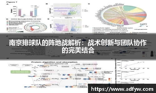 南京排球队的阵地战解析：战术创新与团队协作的完美结合