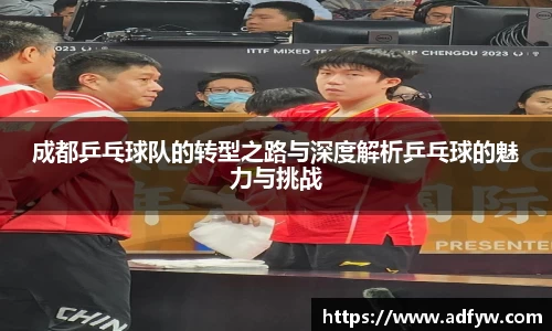 成都乒乓球队的转型之路与深度解析乒乓球的魅力与挑战