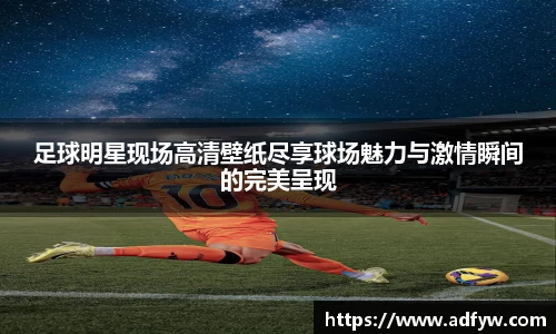 足球明星现场高清壁纸尽享球场魅力与激情瞬间的完美呈现